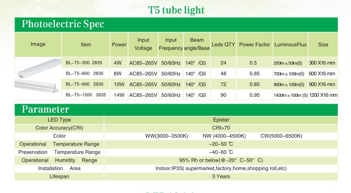 LED T5 tube light.jpg