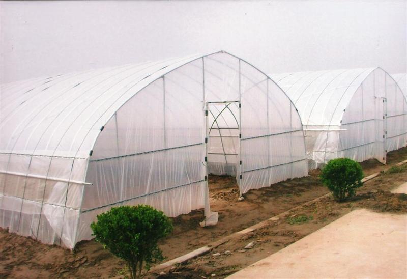 Easily Installed Arched & Cheapest Tunnel GreenhouseTunnel Greenhouse