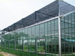 Low Price and High Quality Greenhouse Shading SystemGreenhouse Shading System