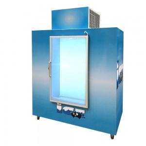 Glass door Commercial Ice box for ice cold storage bin freezer
