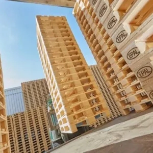 Euro standard wood pallet