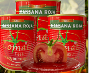 TOMATO PASTE 850G