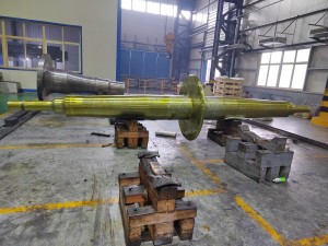 Flanged shaft
