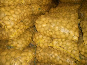 Fresh Potatoes