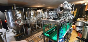 Beer bottle filler and capper