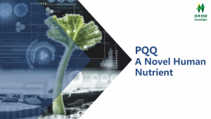 PQQ PQQ