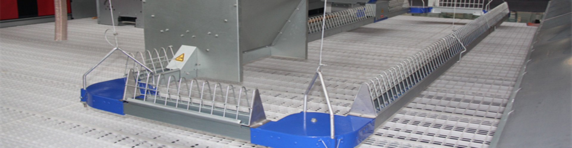 Chicken chain feeding line equipment