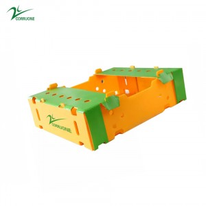 pp corrugated plastic sheet box