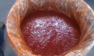 GROUND RED CHILLI MASH-CAPSICUM GROUND RED CHILLI MASH-CAPSICUM