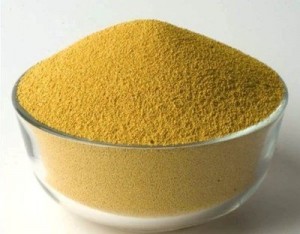 BREWERS YEAST POWDER