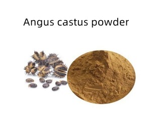AGNUS CASTUS POWDER