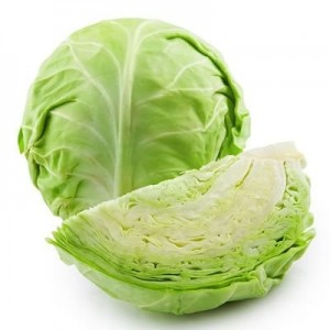 FRESH CABBAGE