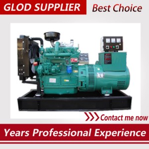 40kw diesel generator with brushless alternator three phase for home use