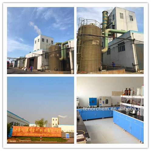 Shandong Tenor Water Treament Technology Co.,LTD
