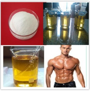 Testosterone Acetate for Muscle Building  Male Sex Hormone