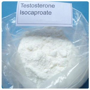 15262-86-9 Injectable Anabolic Steroid Testosterone Isocaproate