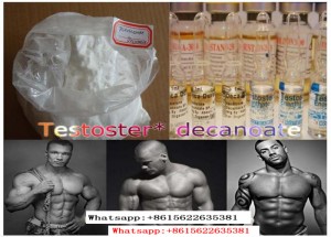 5721-91-5 Hormone Raw Powder Testosterone Decanoate Steroid