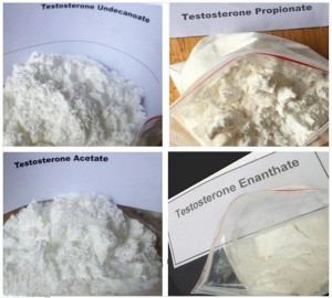 Anabolic Steroid Hormone Powder Testosterone Undecanoate for Muscle Growth