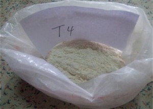 Anabolic Steroid powder T4 L-Thyroxine Sodium salt for weight loss