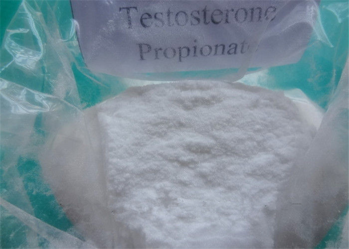 Testosterone Propionate 2.jpg