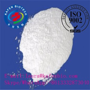 99% High Purity Testosterone Steroid Hormone Raw Methyltestosterone Powder CAS 58-18-