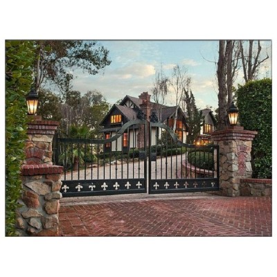 Various styles Ornamental Aluminum Fence Gate