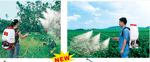 25L Four Stroke Knapsack Power Agricultural Sprayer (SX-3WZ-6C-A)