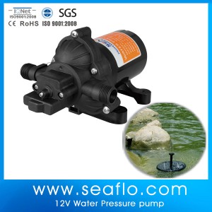 Professional Pump Manufacturer, 12V 2.8gpm Used Triplex Pumps