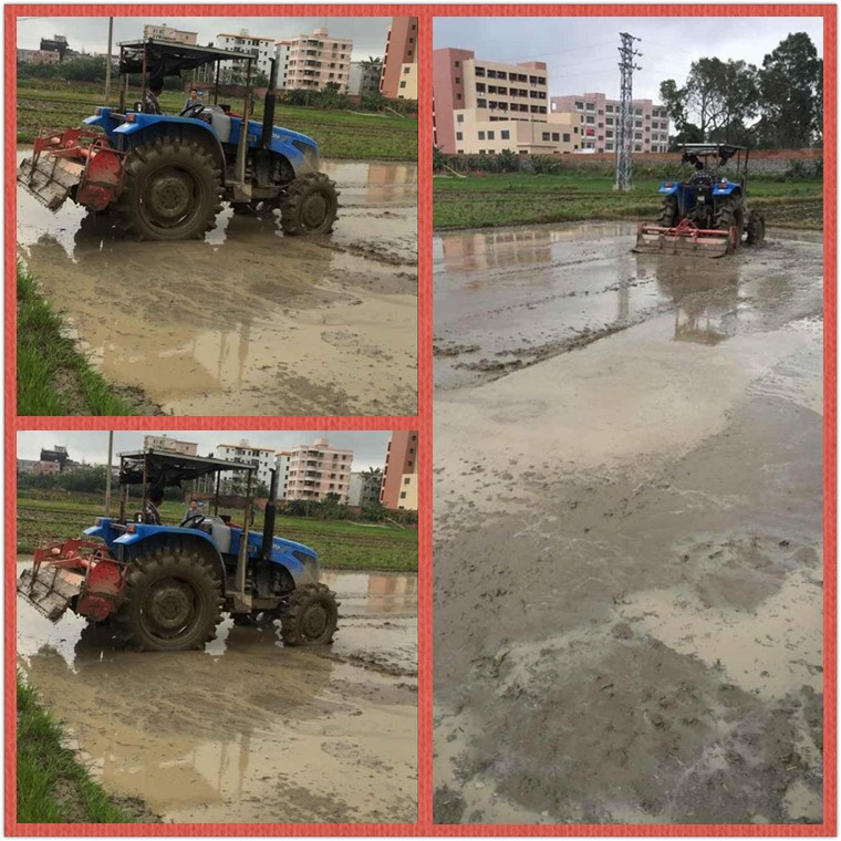 Durable and Well-Sealing Paddy-Field Rotary Cultivator on Sale