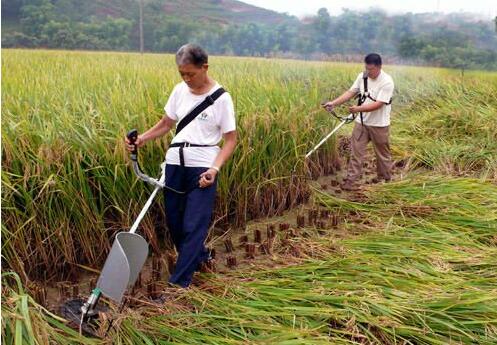 Gasoline Mini Rice and Wheat Cutting Machine Tiller