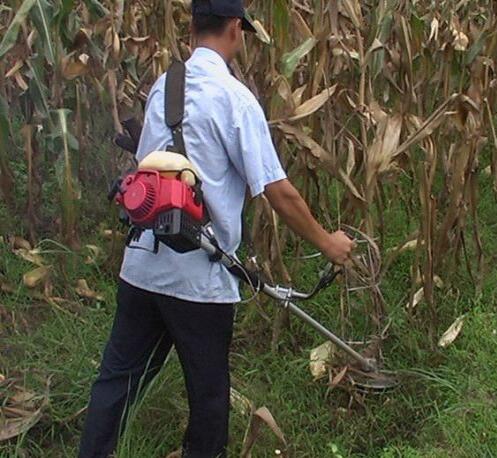 Gasoline Mini Rice and Wheat Cutting Machine Tiller