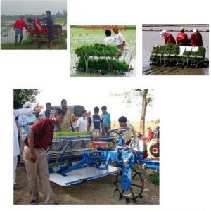 Paddy Wheel Rice Transplanter (2ZT-6300B)