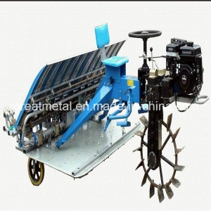 Ciain Drive Farm Rice Transplanter (2ZT-6300B)