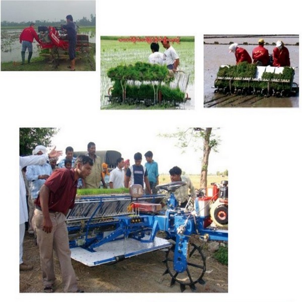 Paddy Wheel Rice Transplanter (2ZT-6300B)