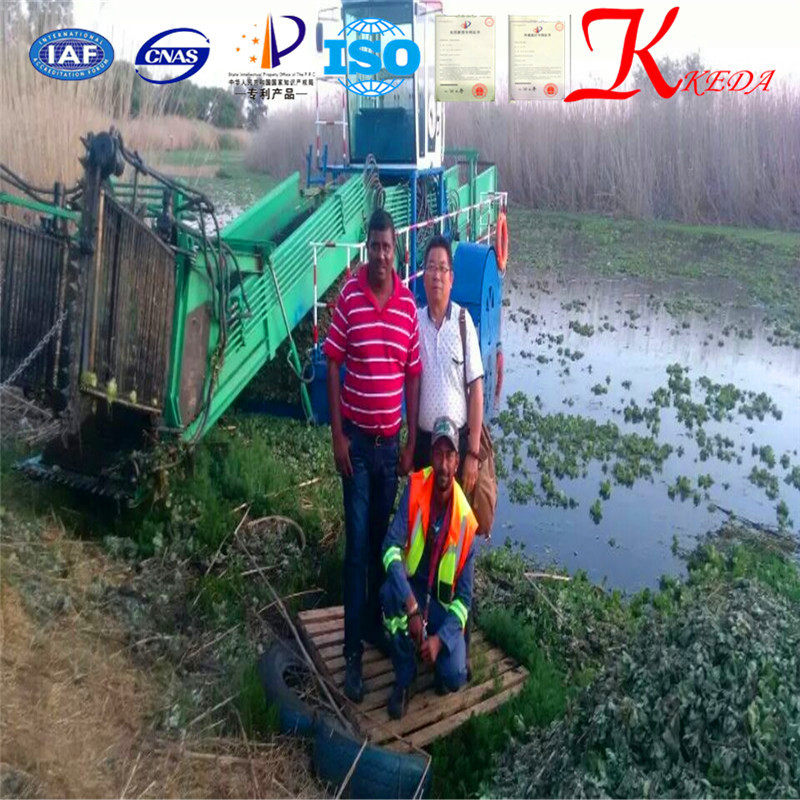 Qingzhou Keda Aquatic Weed Harvester
