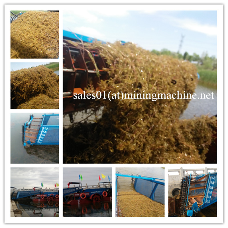 Automatic Aquatic Weed Cutting Harvester for Sale