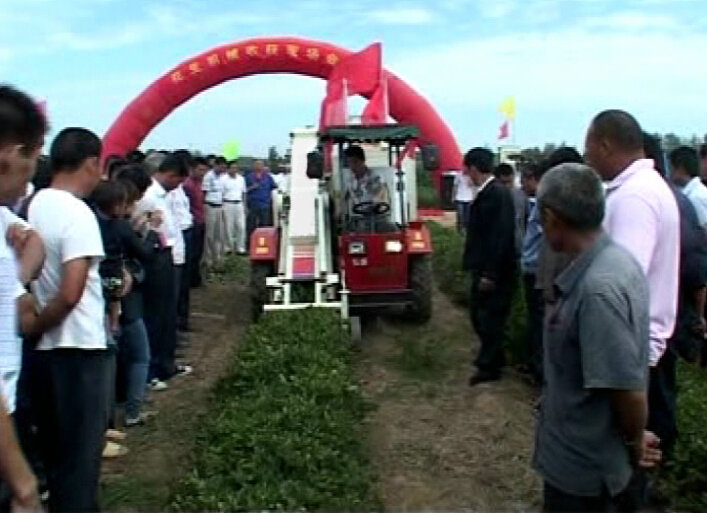 Qingdao Manufacturer Peanut Combine Harvester Hot Sale in Senegal