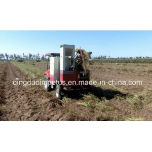 Qingdao Manufacturer Peanut Combine Harvester Hot Sale in Africa