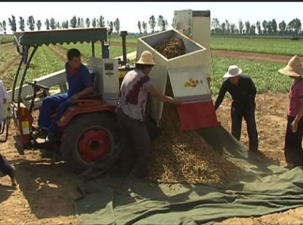 2015 New Type Peanut Harvester Hot Sale in Iran