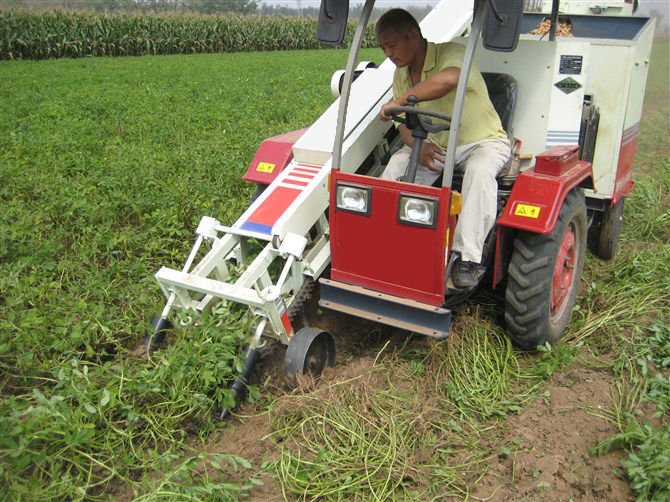 2015 New Type Peanut Harvester Hot Sale in Iran