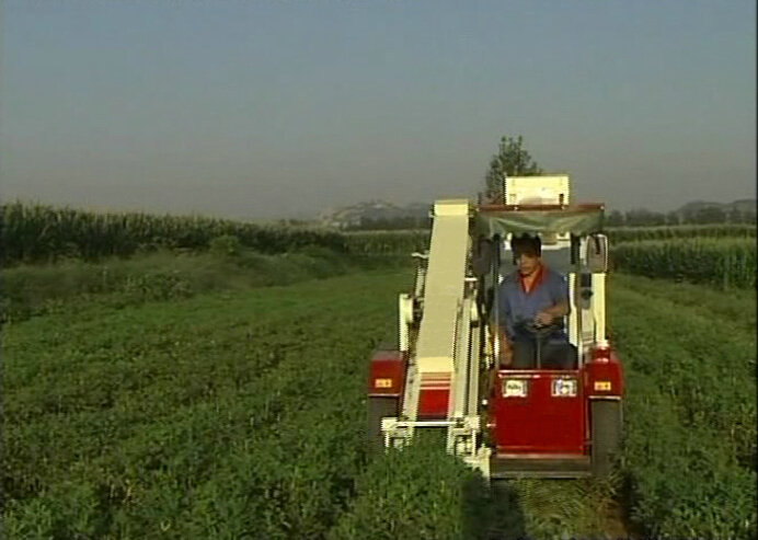 Qingdao Manufacturer Peanut Combine Harvester Hot Sale in Africa