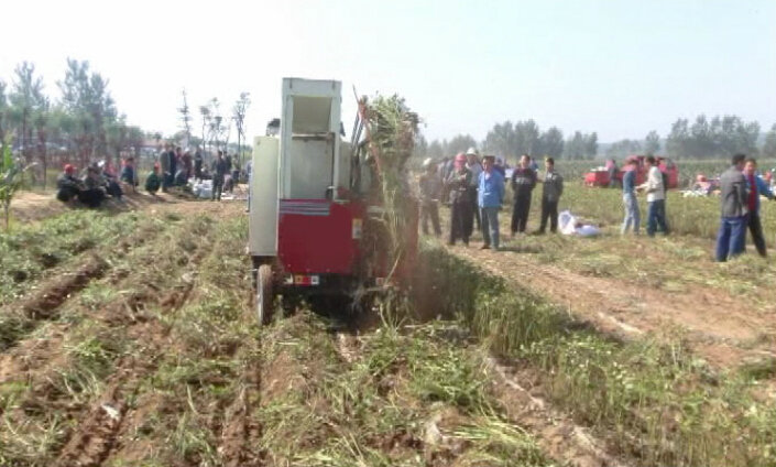 Qingdao Manufacturer Peanut Combine Harvester Hot Sale in Africa