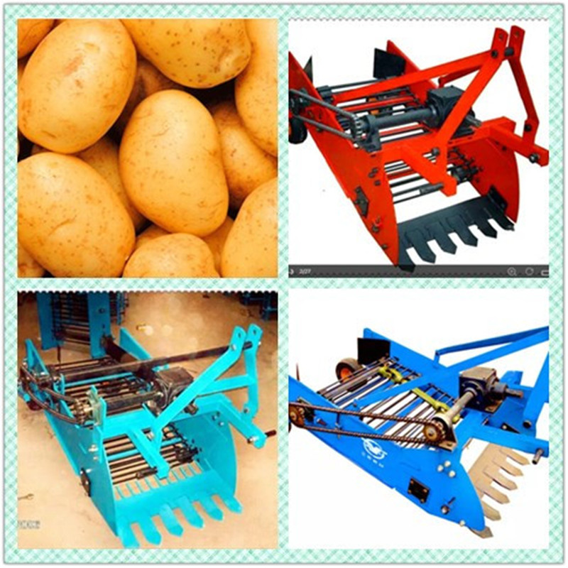 High Quality Potato/Sweet Potato Harvester Matched with 20-35HP Tractor