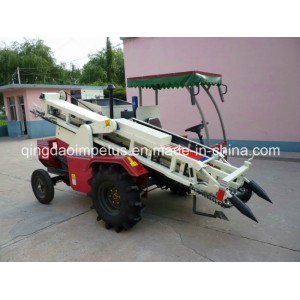 Self-Propelled Peanut Combine Harvester 4hb-2A Hot Selling in Africa