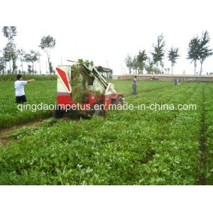 Self-Propelled Peanut Combine Harvester Hot Selling in Iraq
