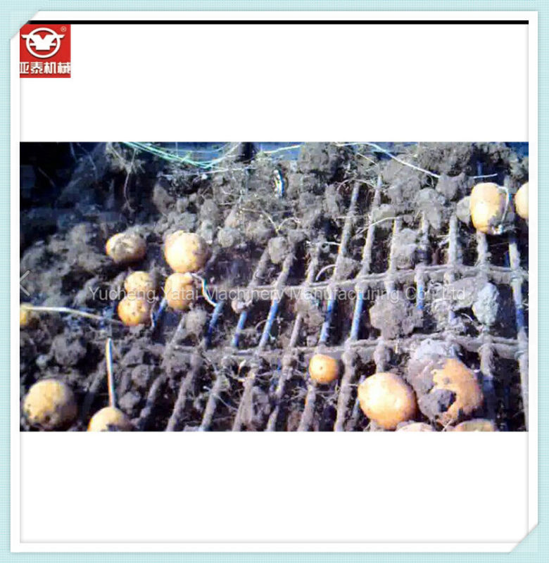 2016 Hot Sale Good Quality Potato Harvester for 60HP Tractor