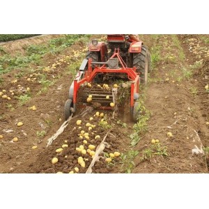 Hot Sale High Quality Potato Harvester 4u-83