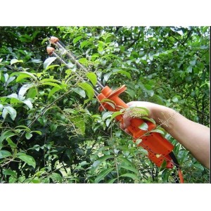 Hot Sale Portable Coffee Bean Harvester