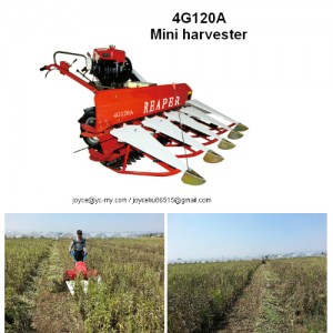 High Technology Bean Harvester Agricultural Machinery for Sale