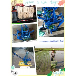 Hand Rolling Type 2 Row Rice Planter
